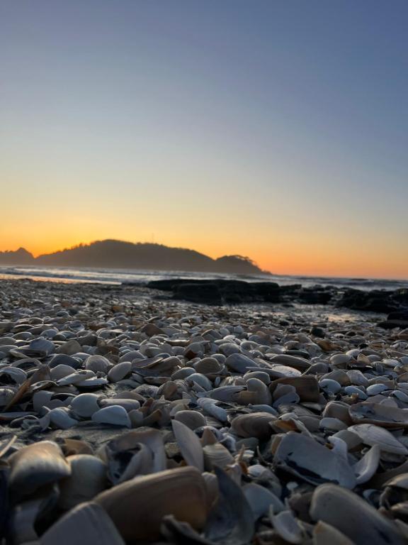 Billede fra billedgalleriet på cabaña Wenu Mapu queule i Queule