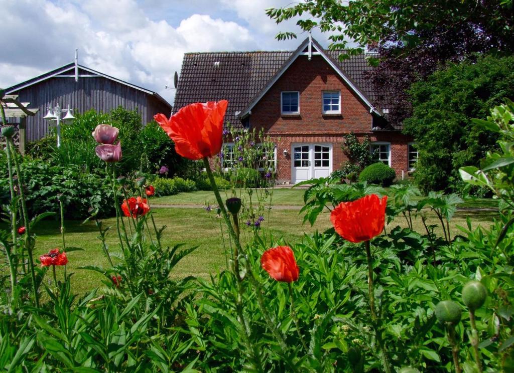 Ferienwohnungen auf dem Ferienhof Sell