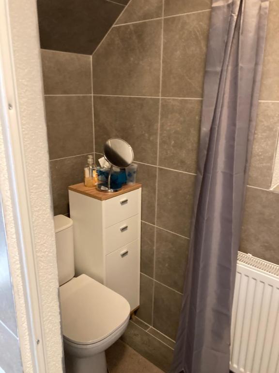 Koupelna v ubytování Apartmany za Rohom