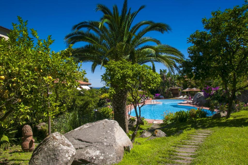 a palm tree next to a swimming pool with a palm tree at Hotel Cernia Isola Botanica in SantʼAndrea