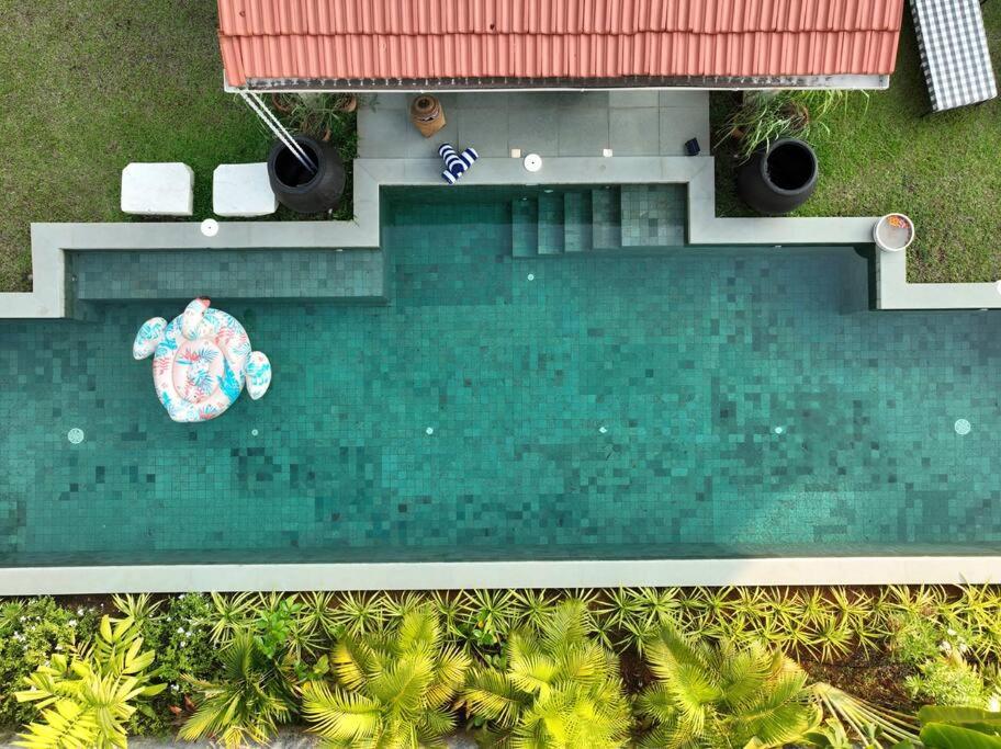 an overhead view of a swimming pool with an elephant in the water at Casa Azul- Luxury 4bhk Assagao with private pool in Vagator