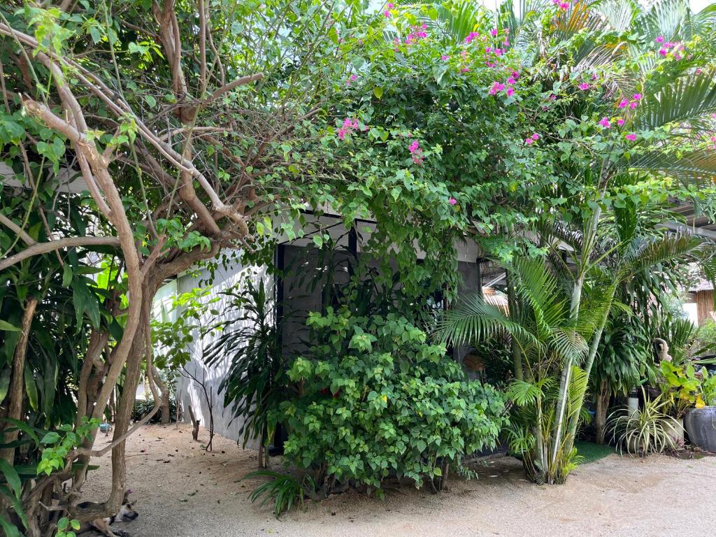 Namthip Homebeach - 2