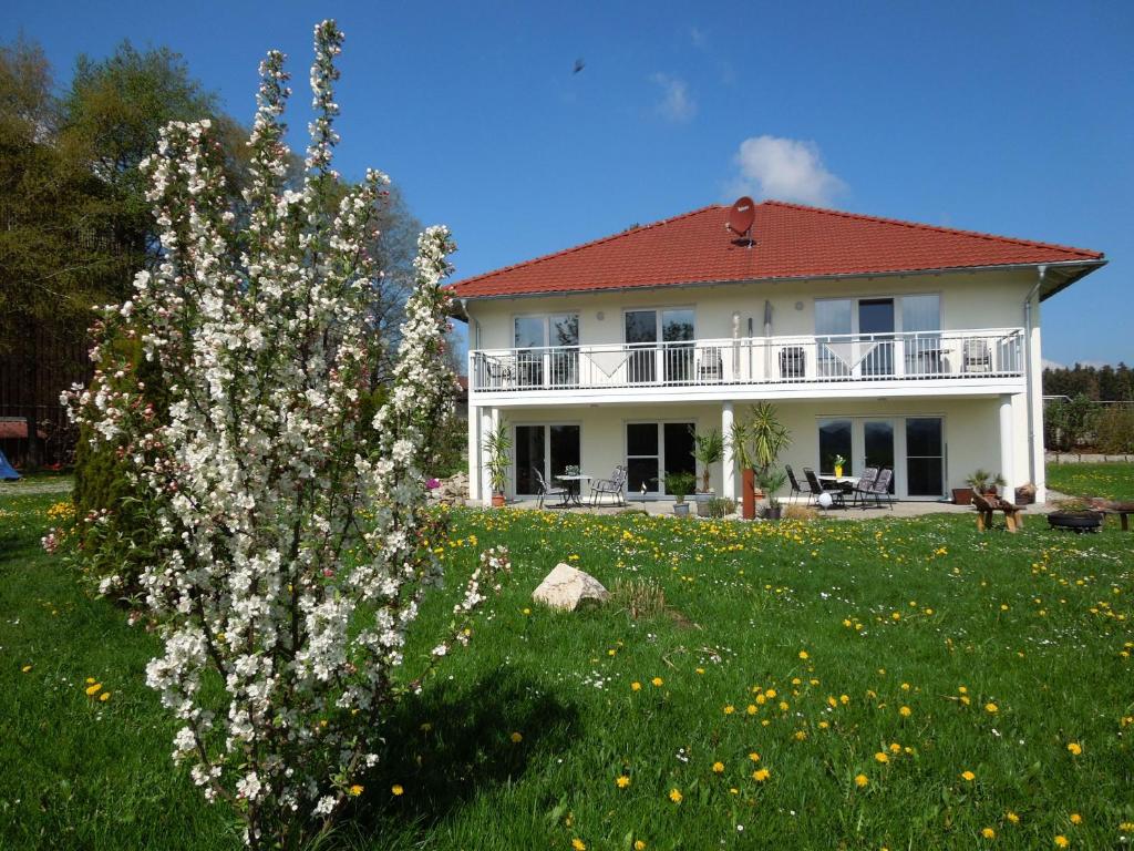 a house with white flowers in the yard at Ferienhaus Steinenberg in Bad Waldsee