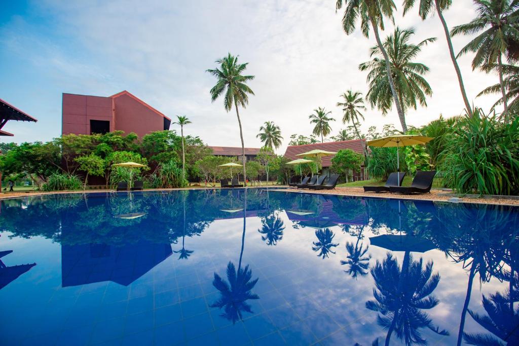 a large swimming pool with palm trees and a building at Celestia Wellness Resort in Bentota