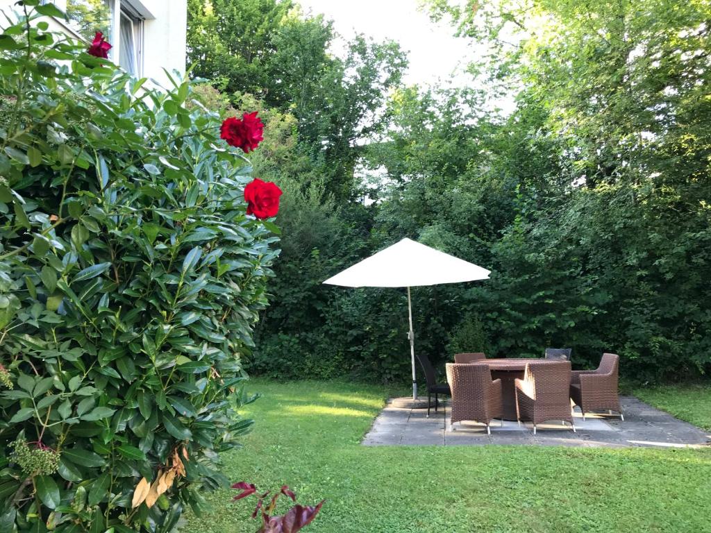 Zahrada ubytování Bijou Appartment
