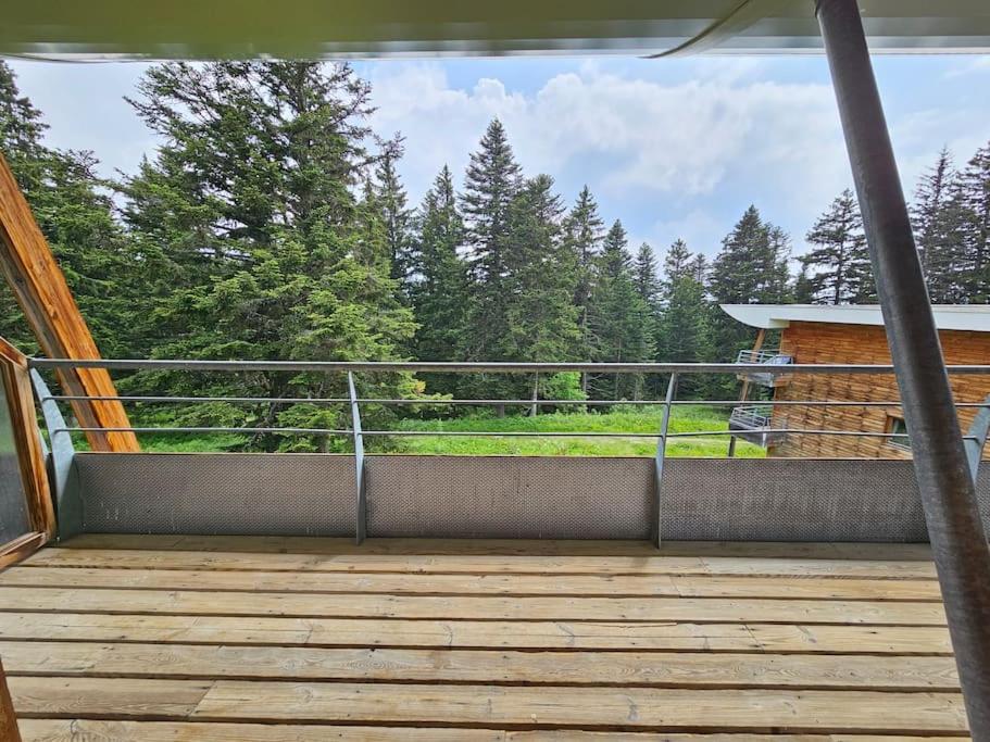 Photo de la galerie de l'établissement Chamrousse, pied d'une piste, terrasse vue sapins, à Chamrousse