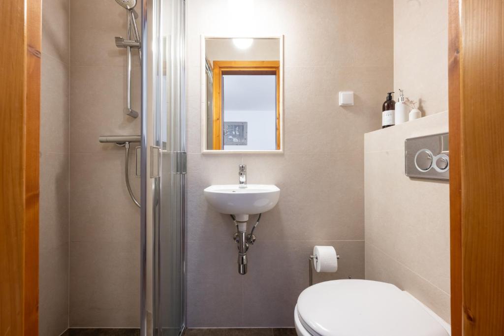 Willa Staszelówka - 13