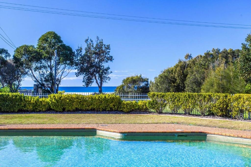 a swimming pool in a yard with bushes and trees at Perfectly Positioned Across From Mollymook Beach in Mollymook