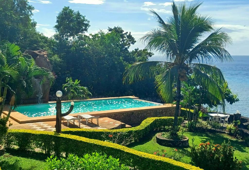 a swimming pool with a palm tree next to the ocean at Camotes Nook - Budget Beautiful in Camotes Islands