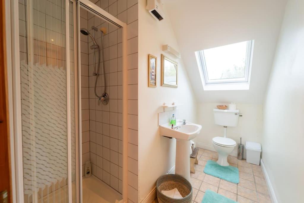 La salle de bains est pourvue de toilettes, d'un lavabo et d'une douche. dans l'établissement Orchard Cottage, à Dingle