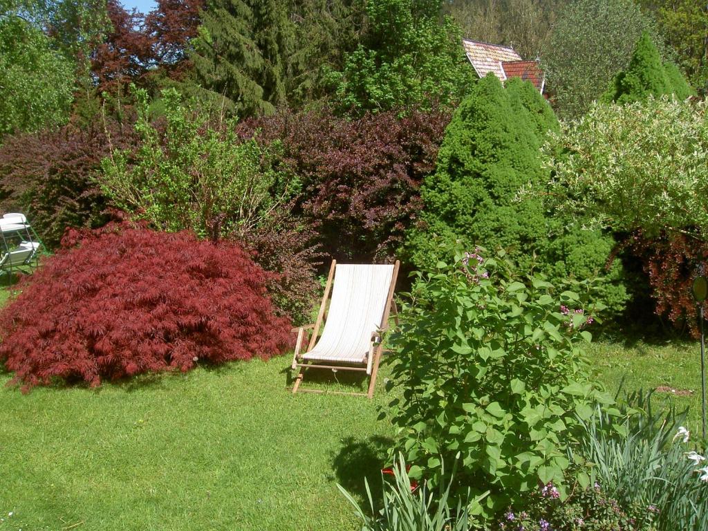 Zahrada ubytování Pension Waldesblick