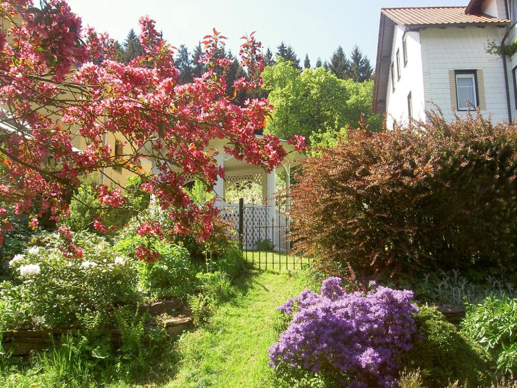 Zahrada ubytování Pension Waldesblick