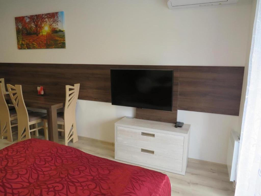 TV a/nebo společenská místnost v ubytování Apartmán Bohemia