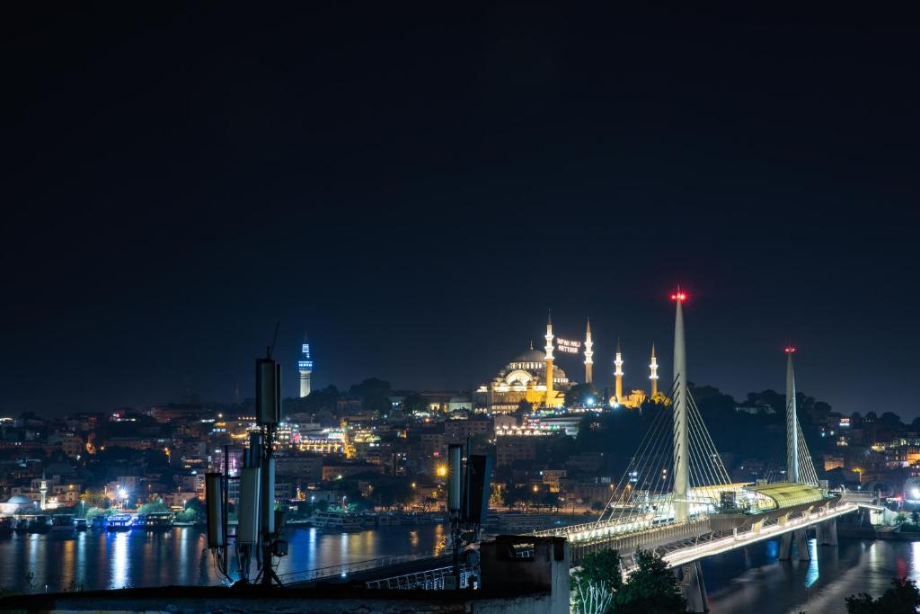 لابی و فضای عمومی GALATAGREENAPPLEHOTEL - تصویر ۵