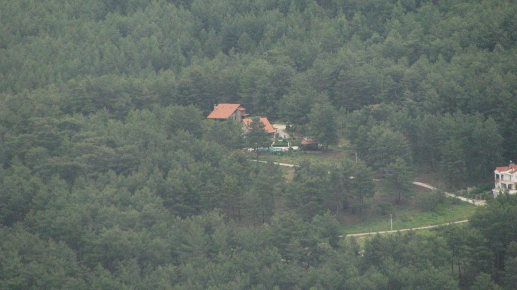 A bird's-eye view of Dikencik Cottages