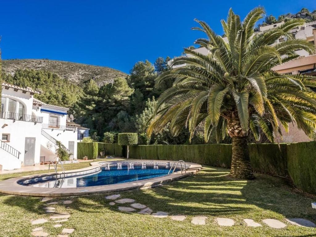 eine Palme im Garten mit Pool in der Unterkunft Casa Eva in Benitatxell