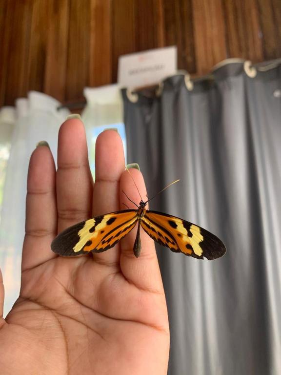 Fotografie z fotogalerie ubytování - POUSADA E HOSTEL CHÁPADA DOS VEADEIROS - Mais que hospedagem, Seu refúgio natural - v destinaci Alto Paraíso de Goiás