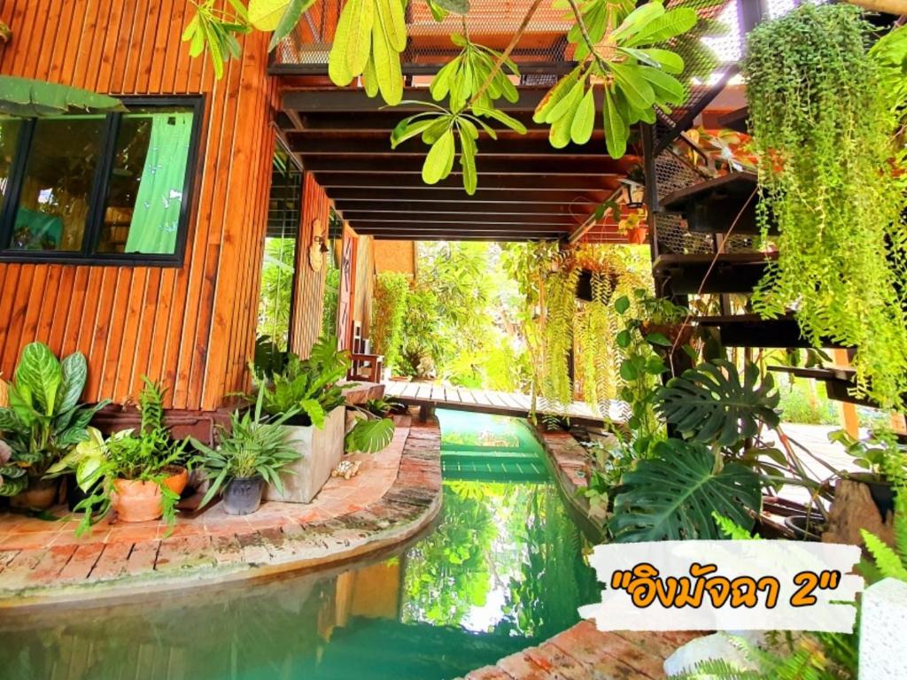 a house with a swimming pool with plants at บ้านนกฮูกอิงไม้ อิงมัจฉา in Ban Khlong Sai