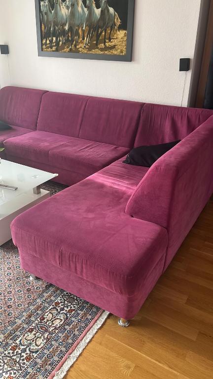 Beautiful apartment for you في أولم: وجود أريكة أرجوانية في غرفة المعيشة