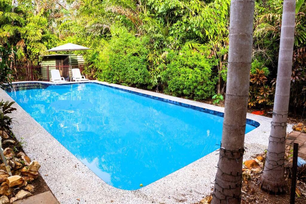 - une piscine avec deux palmiers dans une cour dans l'établissement Tropica Bliss: 2.5km to CBD, à Stuart Park