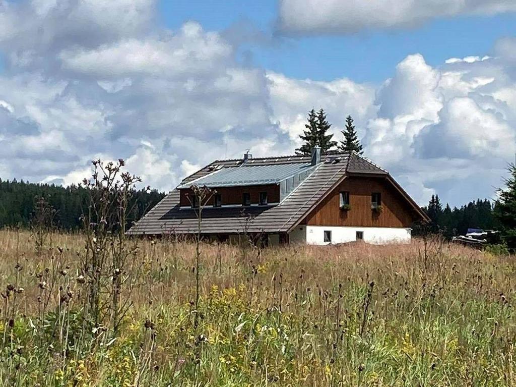 a house with a metal roof on top of a field at Apartmány v Chalupě nad Modravou in Modrava