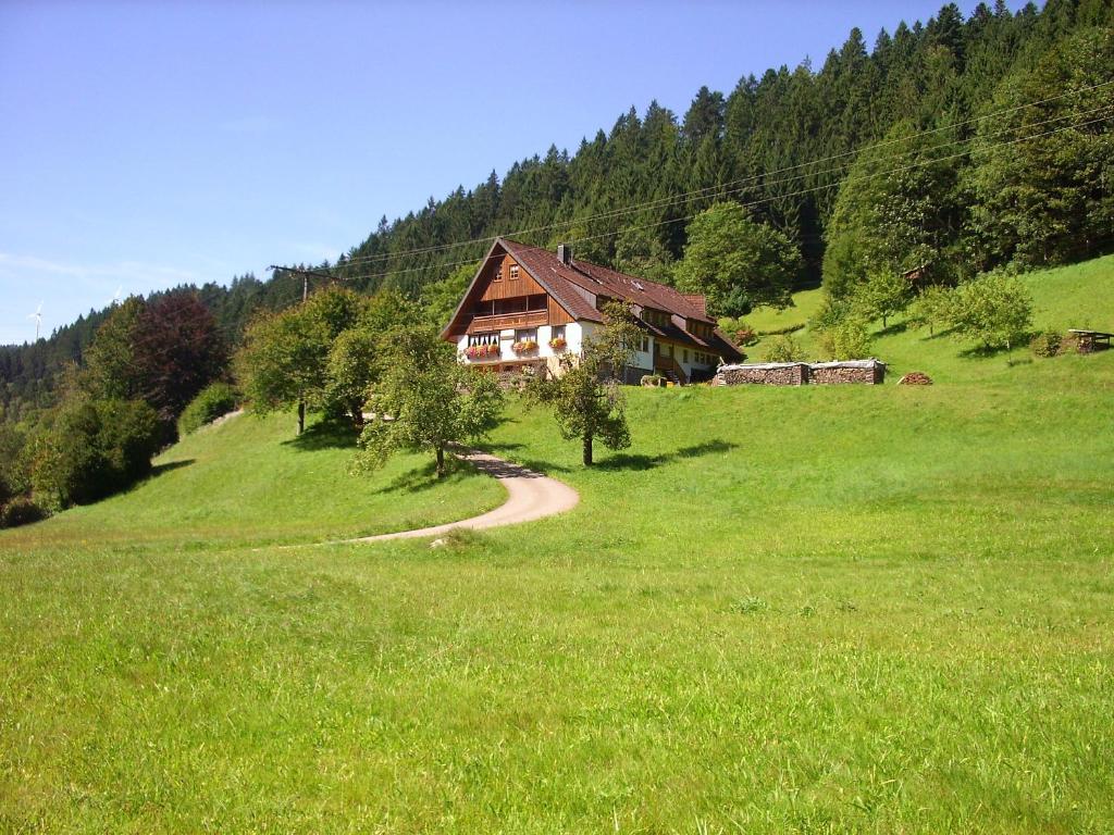 a house on a hill in a green field at Vogtshof in Bad Rippoldsau-Schapbach