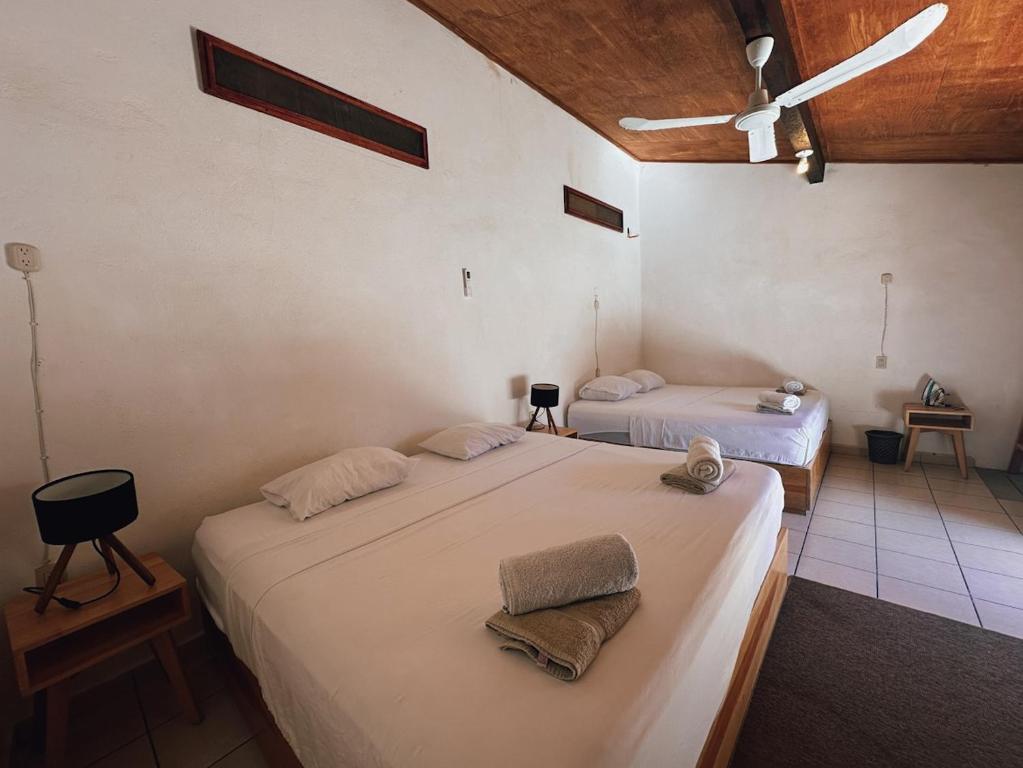 een slaapkamer met 2 bedden in een kamer bij Pacific Buddha in Brisas de Zicatela