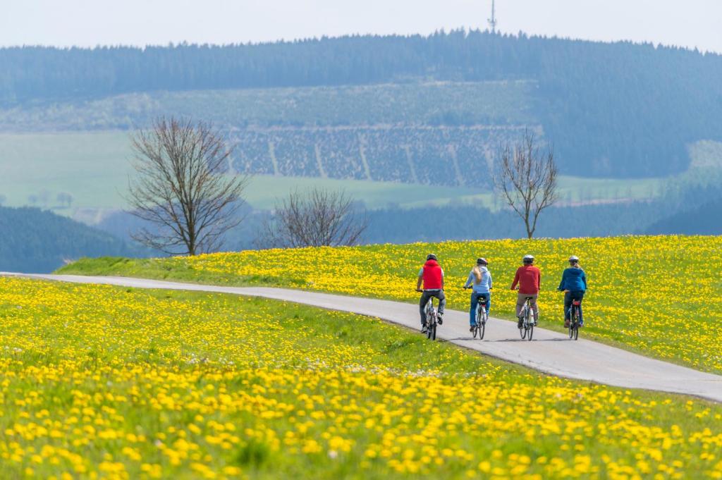 Hosté ubytování Sauerland Alpin Hotel