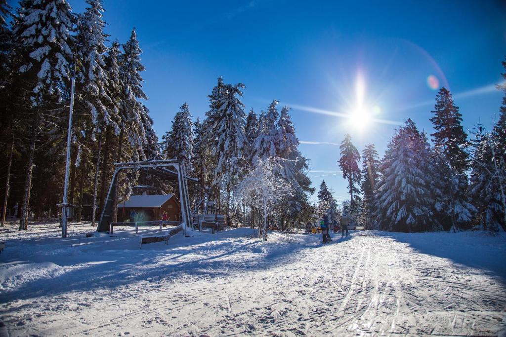 Sauerland Alpin Hotel v zimě