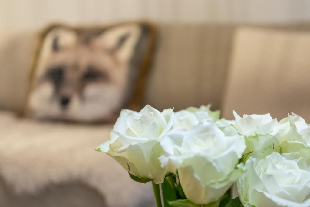een vaas van witte bloemen met een kat op de achtergrond bij Tuomas´ luxurious suites, Luppo in Rovaniemi