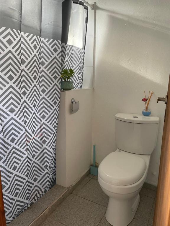 a bathroom with a toilet and a shower curtain at Habitación para 2 personas in Valeria del Mar