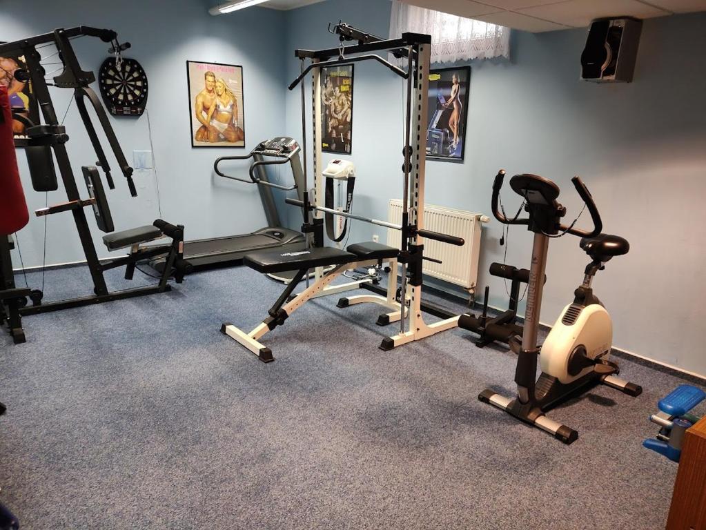 Fitness centrum a/nebo fitness zařízení v ubytování PENSION KUBU Apartment 3 samostatný byt s kuchyní