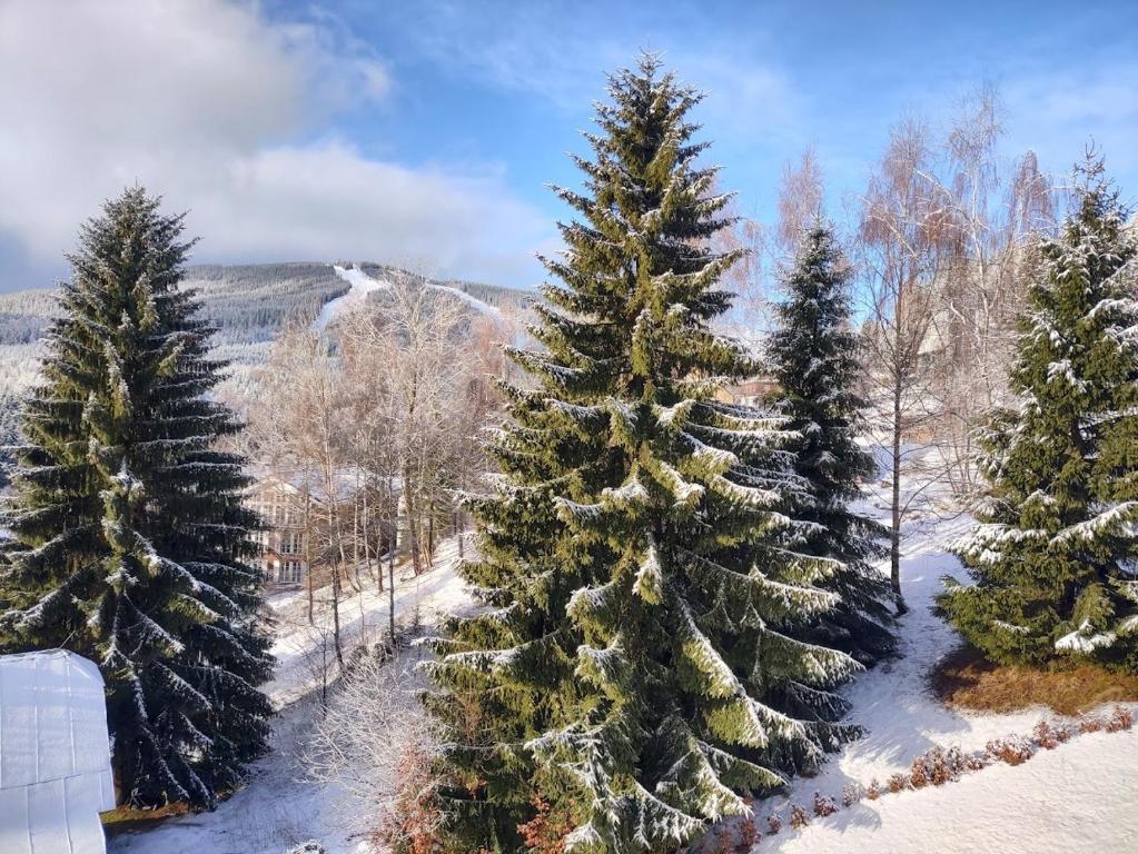 PENSION KUBU Apartment 3 samostatný byt s kuchyní v zimě