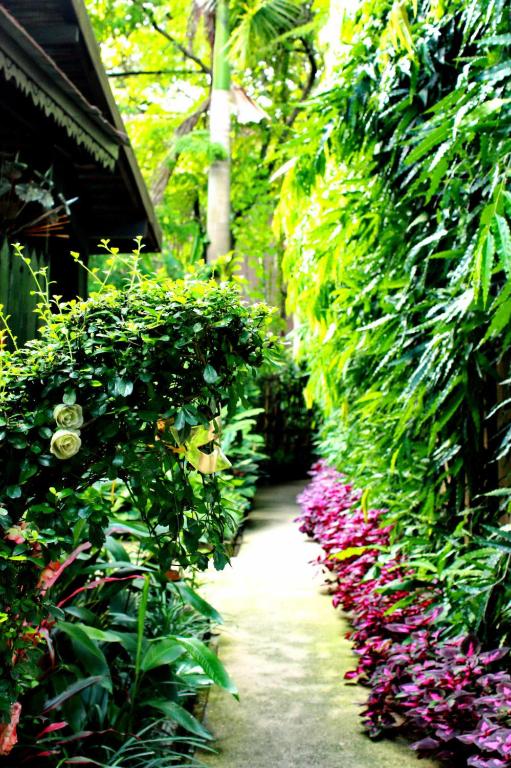 Club One Seven Gaymen Chiang Mai - Resim 31