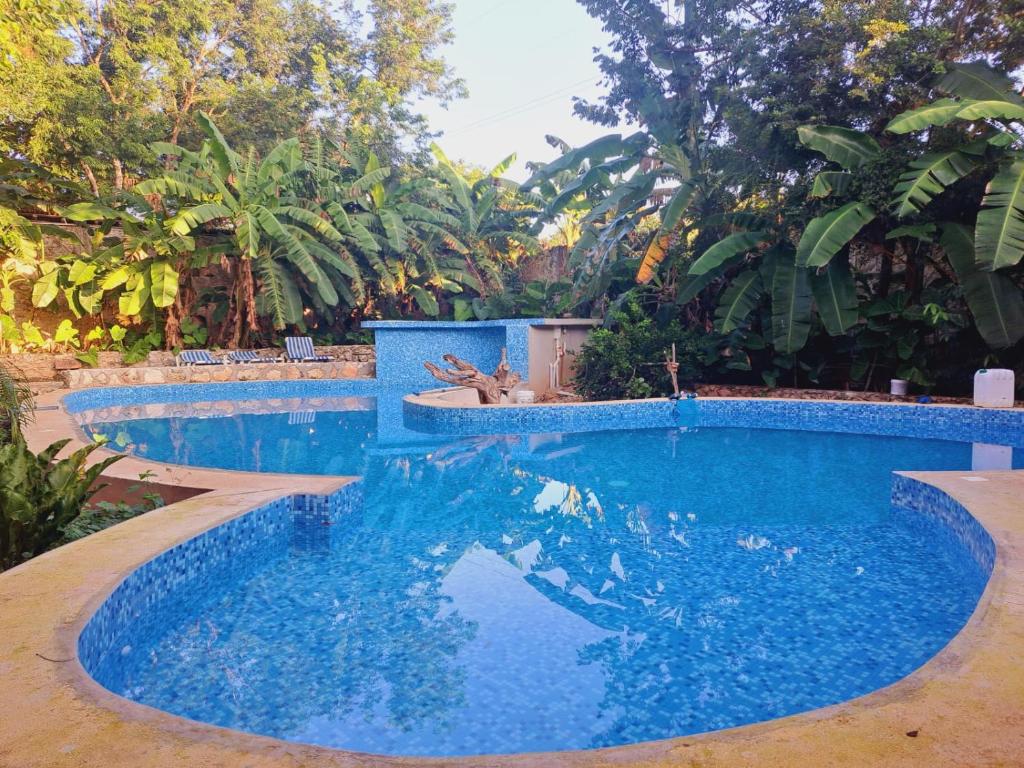 Bazén v ubytování Hotel Yaan Chaca nebo v jeho okolí