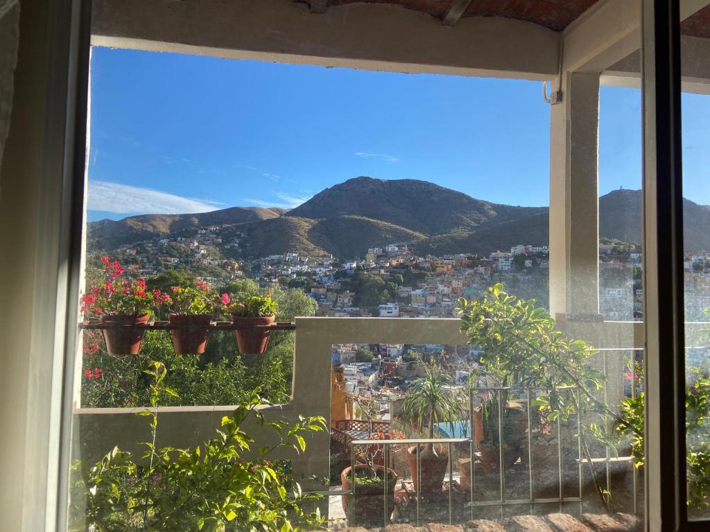 a view from a window with potted plants at Casa Zuniga B&B in Guanajuato