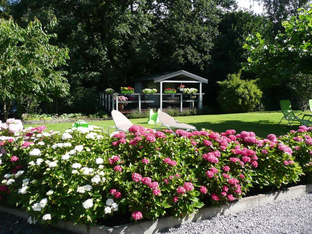 Zahrada ubytování Ferienwohnung "Sweet Home"