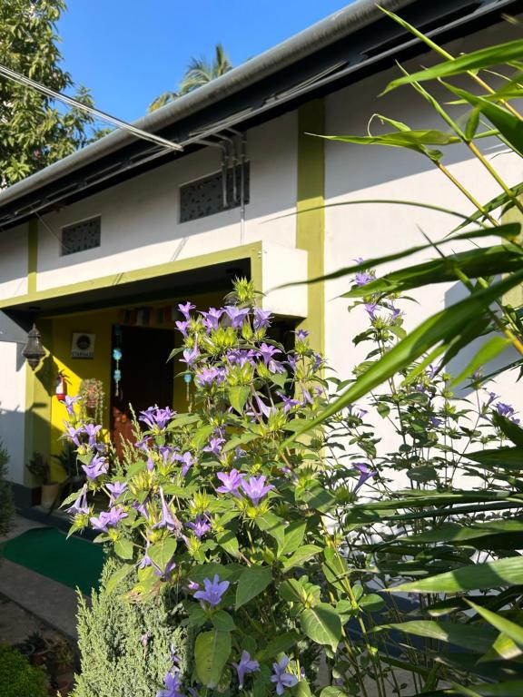 a house with purple flowers in front of it at Stargaze Backpackers Hostel in Guwahati