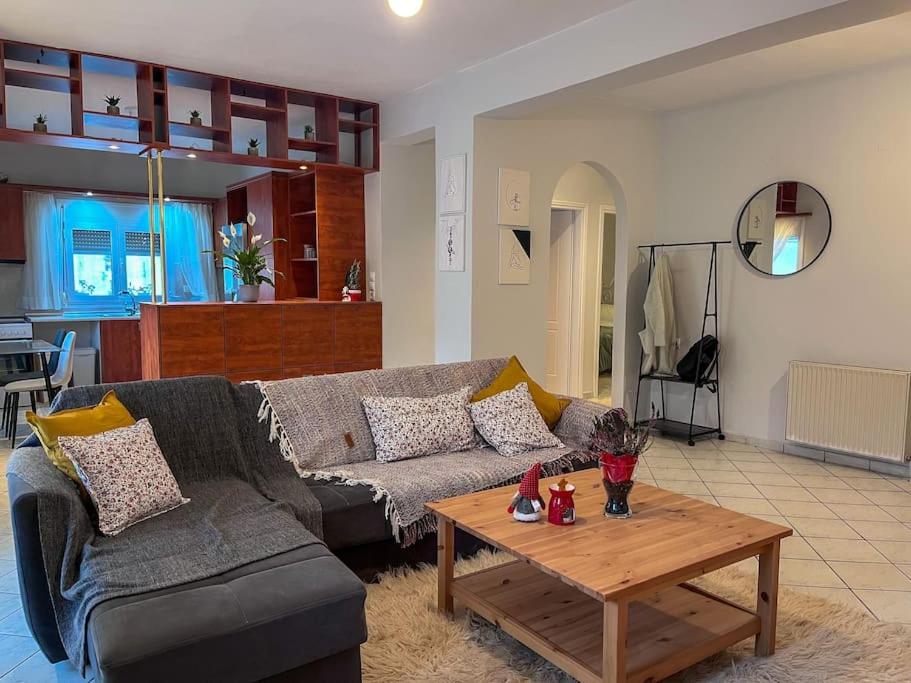 Et opholdsområde på Διαμέρισμα «Εξοχή» στο Καλπάκι