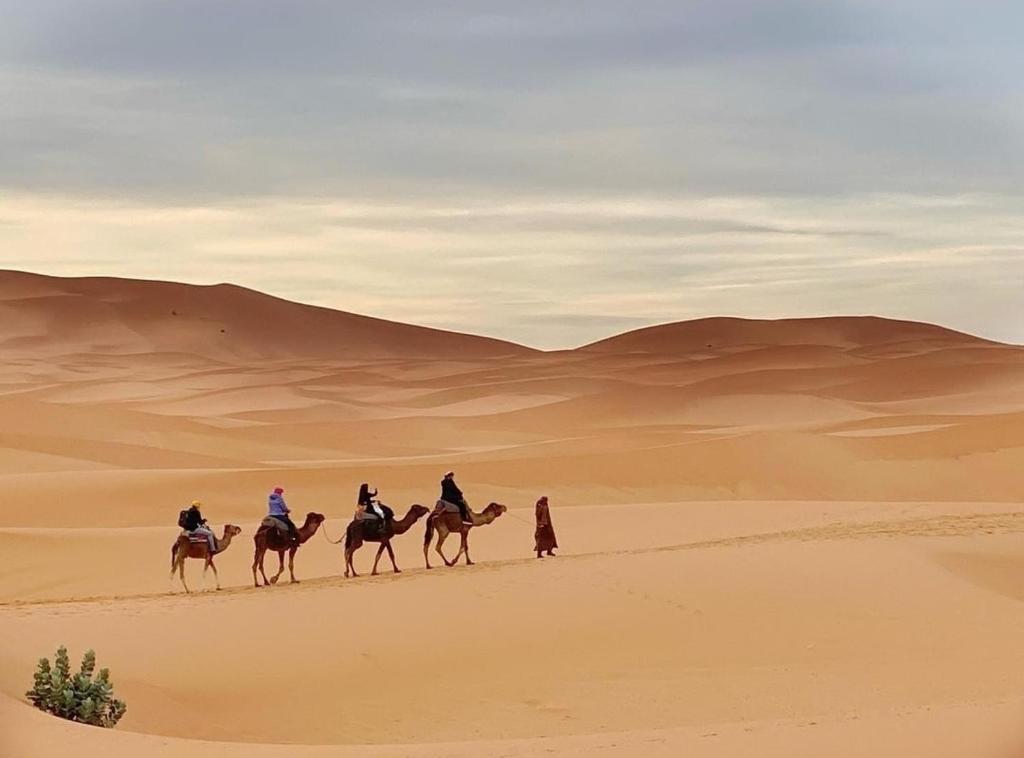 a group of people riding horses in the desert at Camp desert nomad tour in Mhamid
