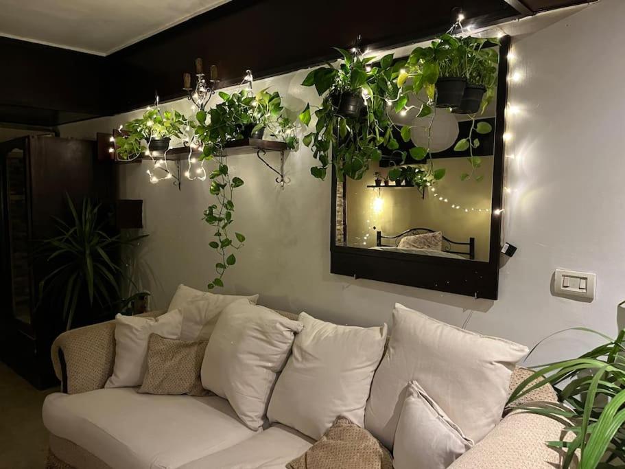 uma sala de estar com um sofá branco e algumas plantas em South Zamalek Studio no Cairo
