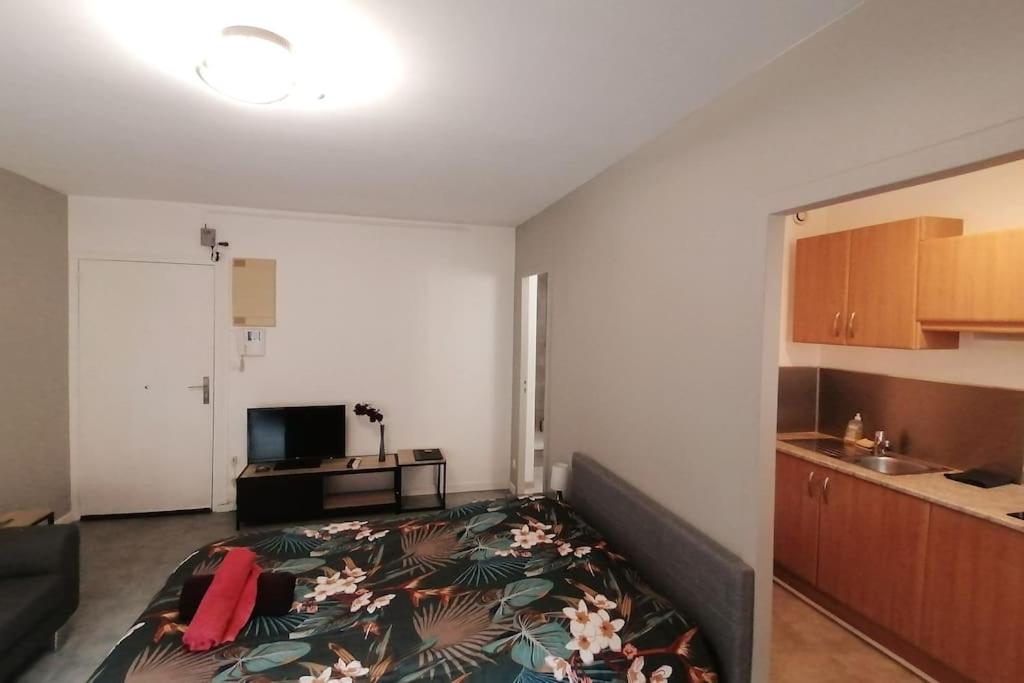 ein Wohnzimmer mit einem Bett in einem Zimmer in der Unterkunft LA BERGERIE ANGERS CENTRE VILLE in Angers