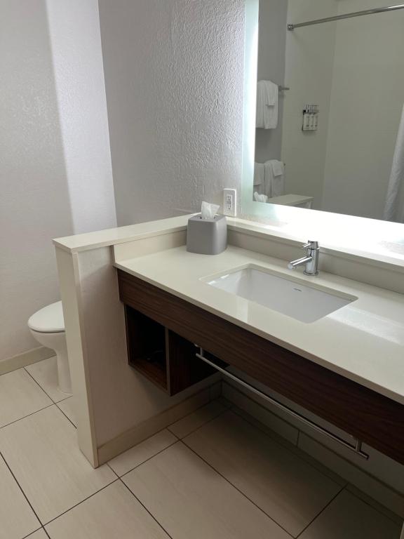 Koupelna v ubytování Holiday Inn Express & Suites Mobile - University Area by IHG