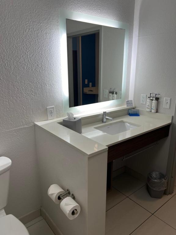 Koupelna v ubytování Holiday Inn Express & Suites Mobile - University Area by IHG