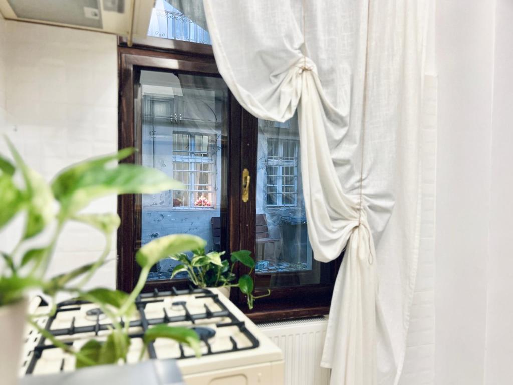 Zentrum Vintage Appartments - Resim 38