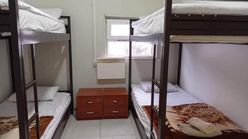 Goderdzi的住宿－hostel mari，宿舍间设有两张双层床和一扇窗户。