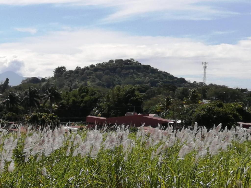 einen Hügel in der Ferne mit einem Grasfeld in der Unterkunft Mirada al Cerro, Apartamento completo in Grecia