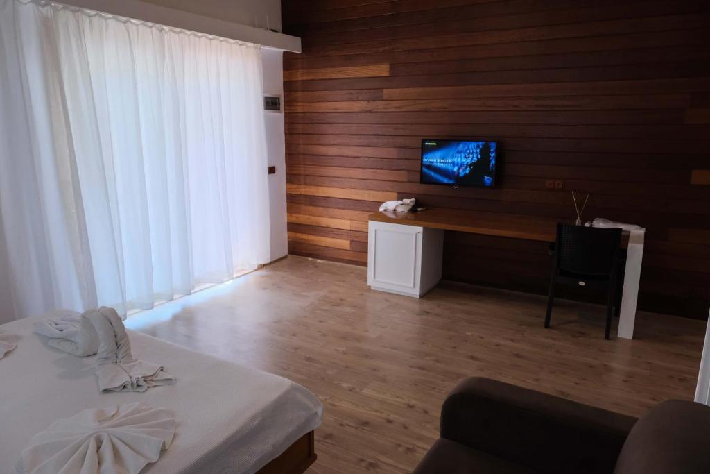 TV a/nebo společenská místnost v ubytování Apella Hotel
