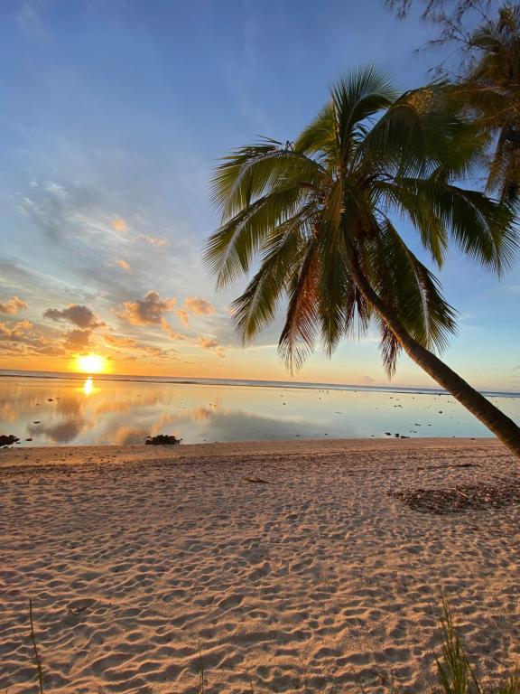 - un palmier sur une plage au coucher du soleil dans l'établissement Te Moana Nui Villa 2, à Arorangi