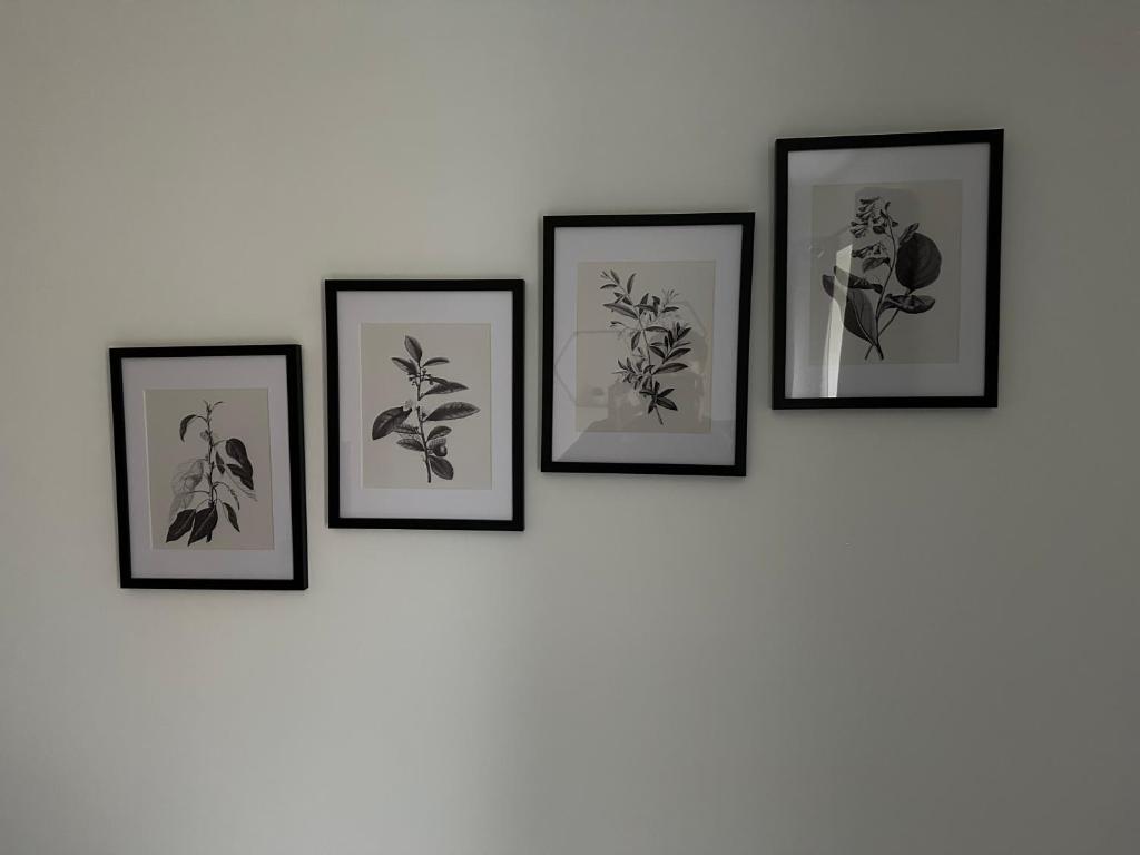 four framed drawings of plants on a wall at Timber Court Apartments in Central Location with FREE Parking and Netflix by RockmanStays in Stifford